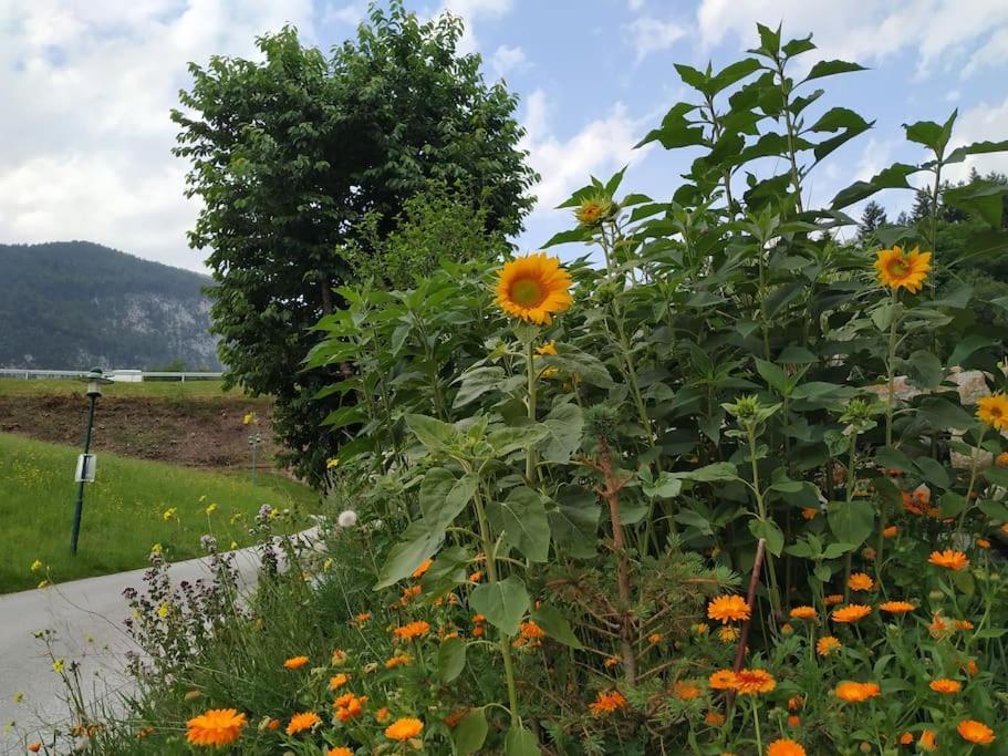 Upcycling Appartement Fischl - Nachhaltig Und Kreativ Wohnen Fuer Gross Und Klein Jenbach Εξωτερικό φωτογραφία
